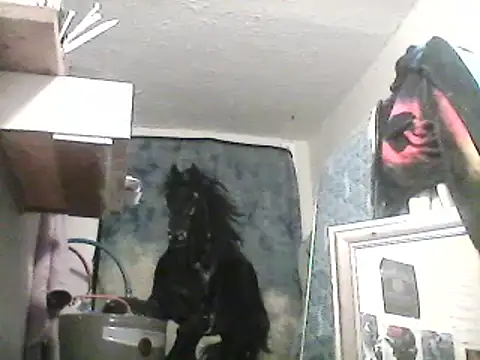 lilbishmiss online show from 02/13/25, 10:12