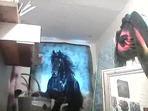 lilbishmiss online show from 02/13/25, 01:15