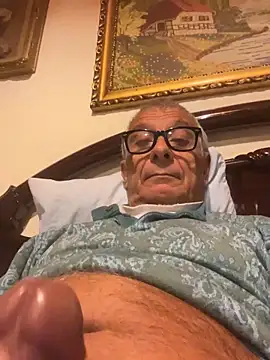 4n4l1zz4m1 online show from 11/01/25, 04:47