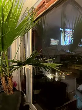 pillepallex84x online show from 01/09/26, 04:54
