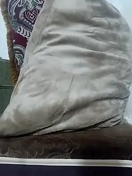 saraieevosarai online show from 01/12/25, 02:19