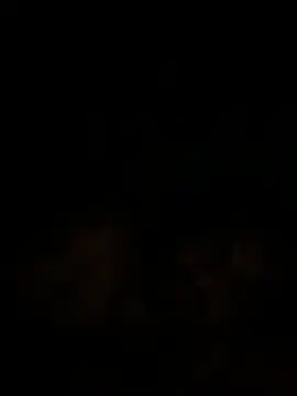 islandvybee55 online show from 12/18/24, 09:47