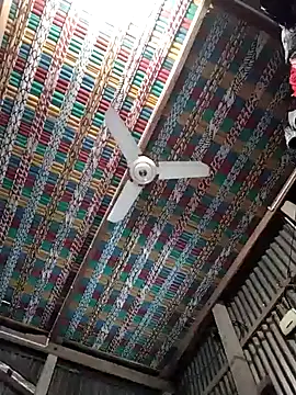 Koyel-Sen online show from 01/22/25, 07:03