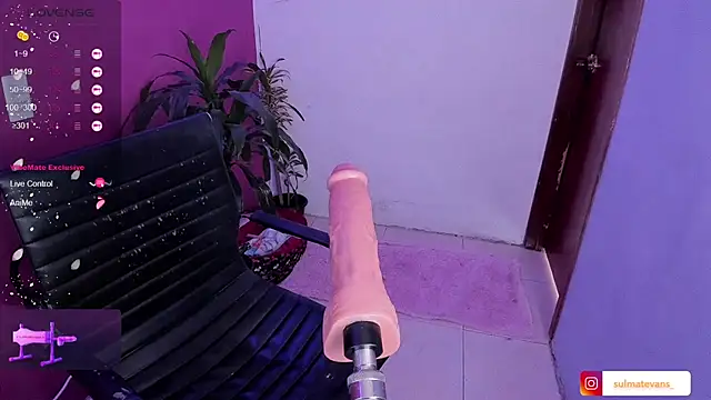  sulmatevans  online show from 01/19/25, 05:49