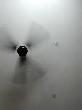 Snapshot of cutiecatty21 chatting on 10/23/25, 10:36 cutiecatty21 online show from 10/23/25, 10:36