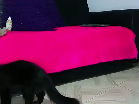 sasha-star11 online show from 02/07/25, 09:47