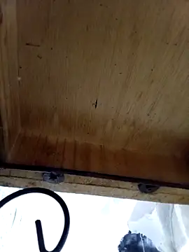 DaniSexFlow online show from 10/13/25, 04:34