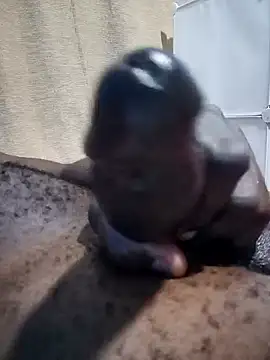 Dick undisputed online show from 12/30/24, 09:59