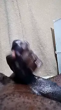 Dick undisputed online show from 01/13/25, 12:19