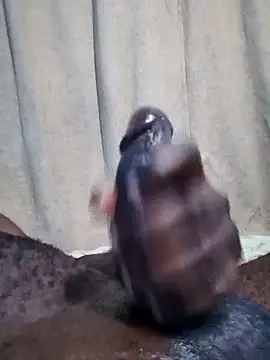 Dick undisputed online show from 01/17/25, 08:13