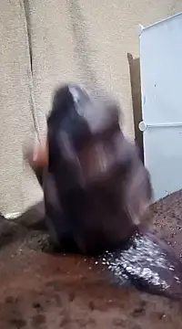 Dick undisputed online show from 01/17/25, 12:10