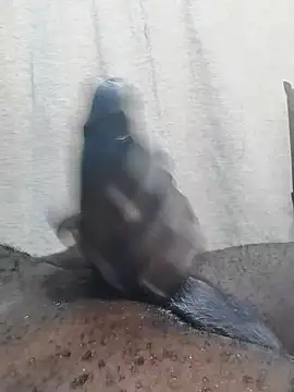 Dick undisputed online show from 02/23/25, 12:16