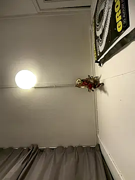 Snapshot of wolfwhite95 chatting on 11/14/25, 11:57 wolfwhite95 online show from 11/14/25, 11:57