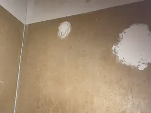 saint cat25 online show from 02/20/26, 09:37