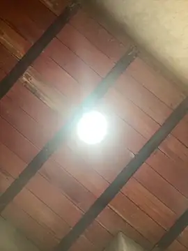 Snapshot of MollySanders___ chatting on 12/13/25, 10:59 MollySanders online show from 12/13/25, 10:59