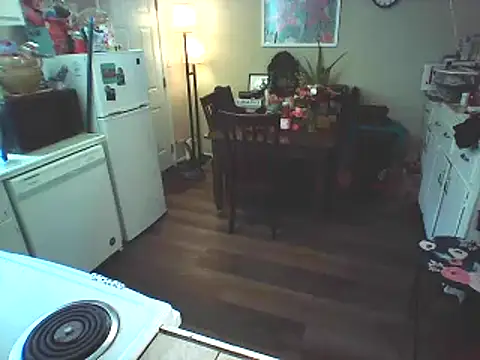 Snapshot of Big-Tits-McGee chatting on 02/19/25, 06:10 Big-Tits-McGee online show from 02/19/25, 06:10