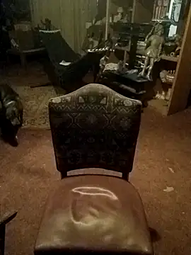 wilsons12 online show from 04/11/26, 09:02