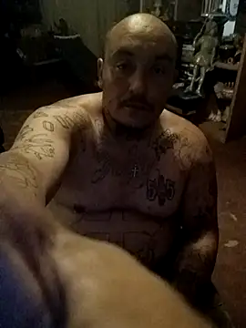 wilsons12 online show from 04/12/26, 04:39