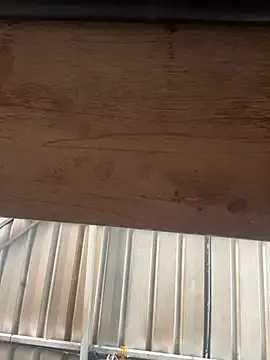 Snapshot of bigfatdick111 chatting on 03/21/26, 08:41 bigfatdick111 online show from 03/21/26, 08:41