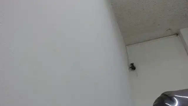 sexy lady 0 online show from 02/13/25, 08:34