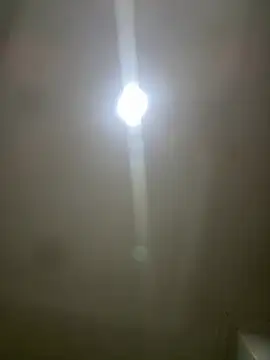 Snapshot of pawmistry chatting on 03/05/26, 03:57 pawmistry online show from 03/05/26, 03:57