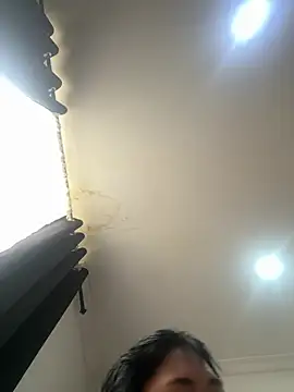 pawmistry online show from 07/17/26, 06:24