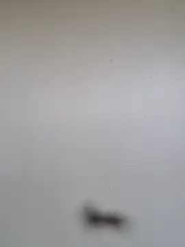 BriannaVincent online show from 01/07/26, 04:59