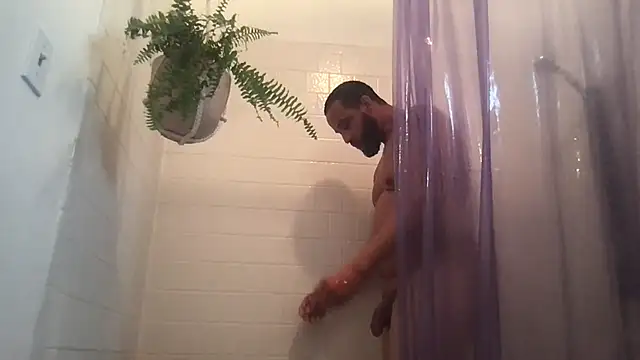 Z415 online show from 10/08/25, 04:04