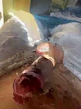 toto36643 online show from 02/23/26, 10:23