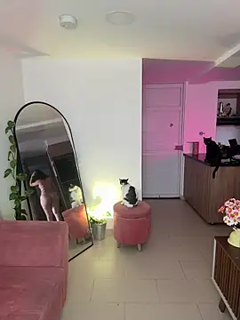 DakotaShelby online show from 01/13/25, 08:37