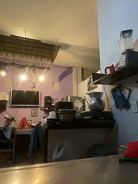 SophiaWeestt99 online show from 11/14/25, 04:00