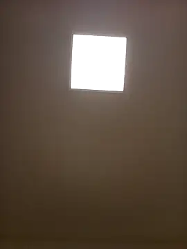 Porzz-6 online show from 11/18/25, 10:03