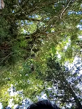 giselxxx hot online show from 03/12/25, 02:34