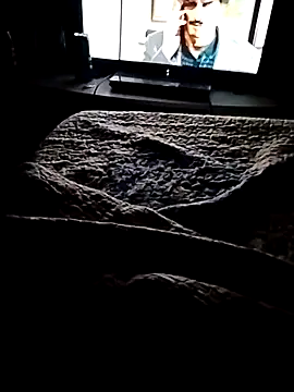 minitranca online show from 02/21/26, 03:18