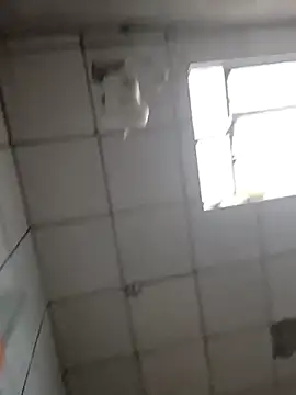 Snapshot of DitchingThrottle chatting on 03/19/26, 12:31 DitchingThrottle online show from 03/19/26, 12:31