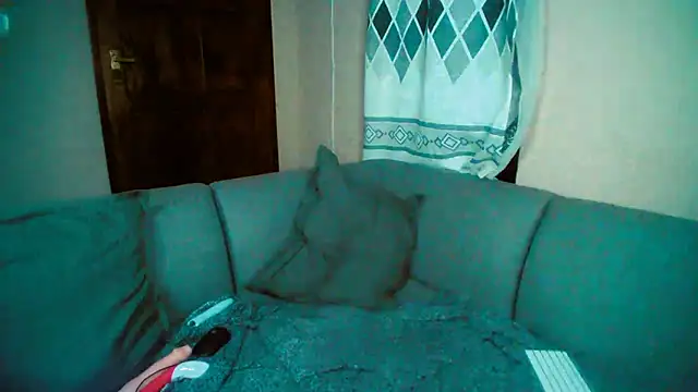 GoldenPussyXOXO online show from 12/05/24, 11:40