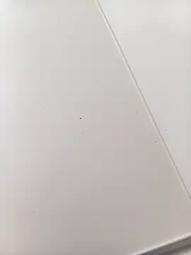 Snapshot of bbferlinaa chatting on 03/21/26, 07:50 bbferlinaa online show from 03/21/26, 07:50