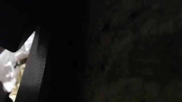 Hungry  Puppy online show from 11/08/25, 10:19