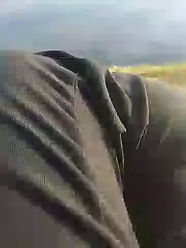 Snapshot of hexsmith96 chatting on 12/18/24, 02:17 hexsmith96 online show from 12/18/24, 02:17