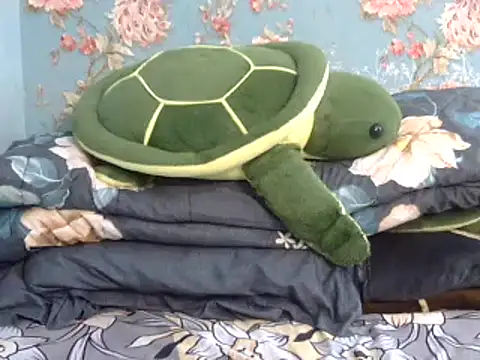 Tiny lusty online show from 03/11/25, 06:41