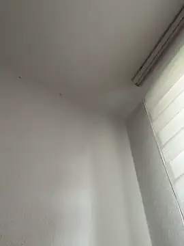 derFickerali online show from 10/20/25, 09:21