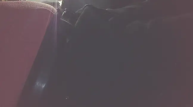 Snapshot of briefsguy4life@xh chatting on 12/17/24, 11:49 briefsguy4lifexh online show from 12/17/24, 11:49