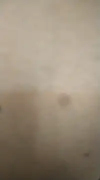 Snapshot of rohitlov150 chatting on 02/13/25, 11:50 rohitlov150 online show from 02/13/25, 11:50