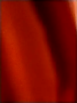 Snapshot of rohitlov150 chatting on 12/18/25, 04:24 rohitlov150 online show from 12/18/25, 04:24