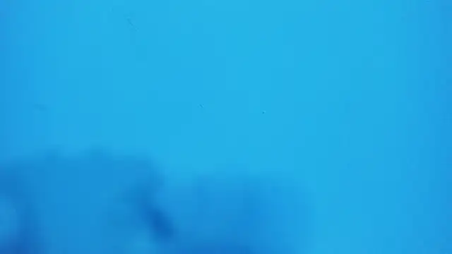  hairybeard  online show from 02/20/25, 09:22