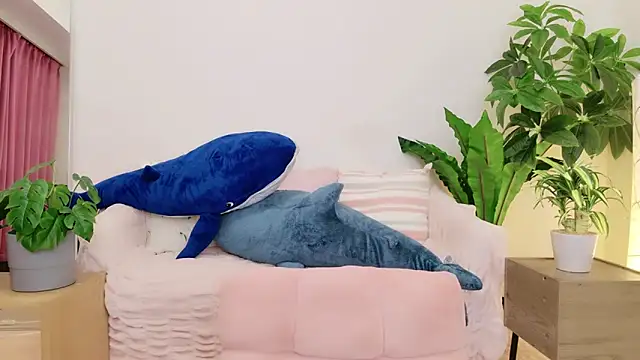 Snapshot of cohaku_329 chatting on 01/09/25, 01:13 cohaku 329 online show from 01/09/25, 01:13