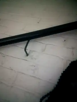 Shria107 online show from 02/20/26, 11:49