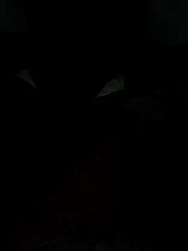 catreena online show from 02/09/26, 07:29