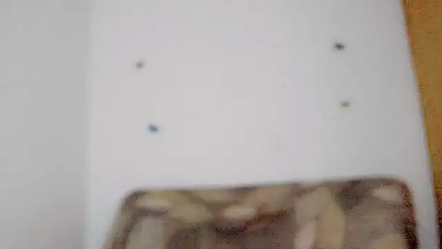 Snapshot of TatiGil chatting on 04/10/26, 08:46 TatiGil online show from 04/10/26, 08:46