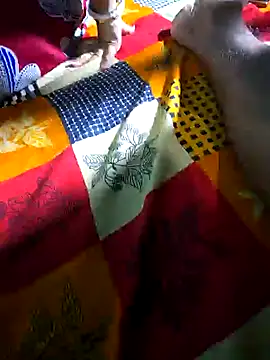 hotbaby 5 online show from 01/31/25, 05:40